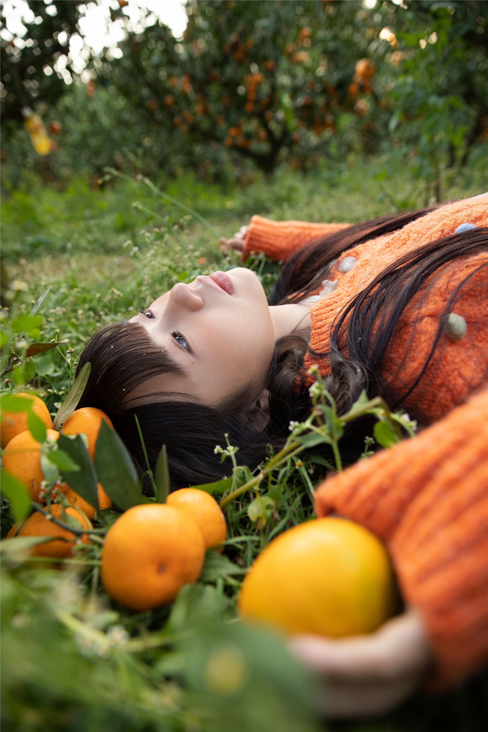 YITUYU艺图语 2025.02.03 橘子辉煌 是三金呀